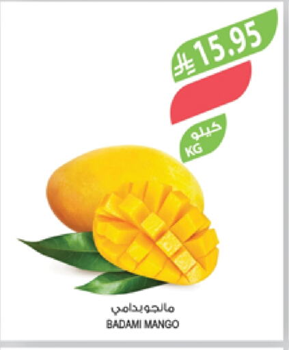 Fresh Fruits in Farm , Saudi Arabia Offers - Saudi Arabia Mangoes available at Farm in KSA, Saudi Arabia, Saudi - Qatif
