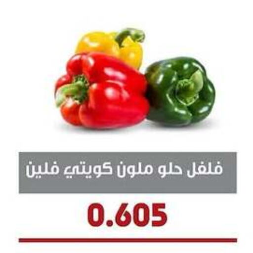 Chilli / Capsicum available at Al- Surra Cooperative Society in Kuwait - Jahra Governorate