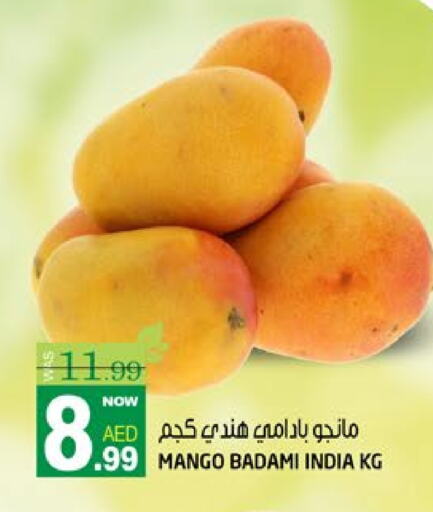 فاكهة طازجة in هاشم هايبرماركت, UAE Offers - الإمارات العربية المتحدة مانجو from India available at هاشم هايبرماركت in الإمارات العربية المتحدة , الامارات - الشارقة / عجمان