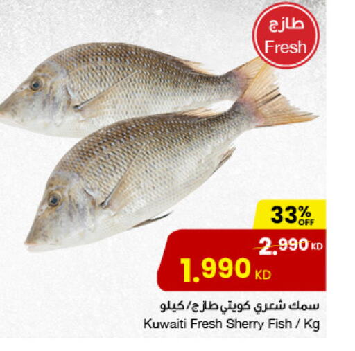 Fresh Fish in The Sultan Center, Kuwait Offers - Kuwait available at The Sultan Center in Kuwait - Jahra Governorate