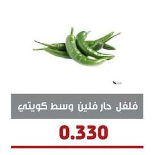 Chilli / Capsicum available at Al- Surra Cooperative Society in Kuwait - Jahra Governorate