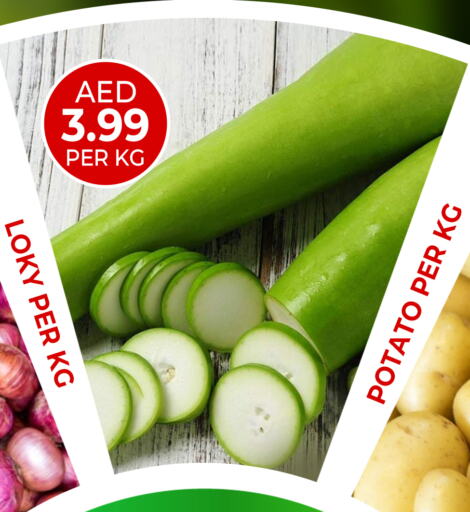 Potato available at Daylife Hypermarket LLC in UAE - Dubai
