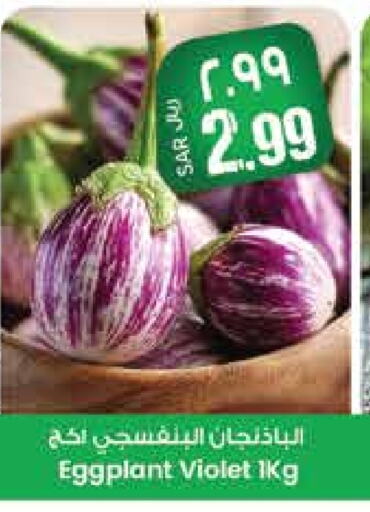 Fresh Vegetables in City Flower, Saudi Arabia Offers - Saudi Arabia Eggplant available at City Flower in KSA, Saudi Arabia, Saudi - Jubail