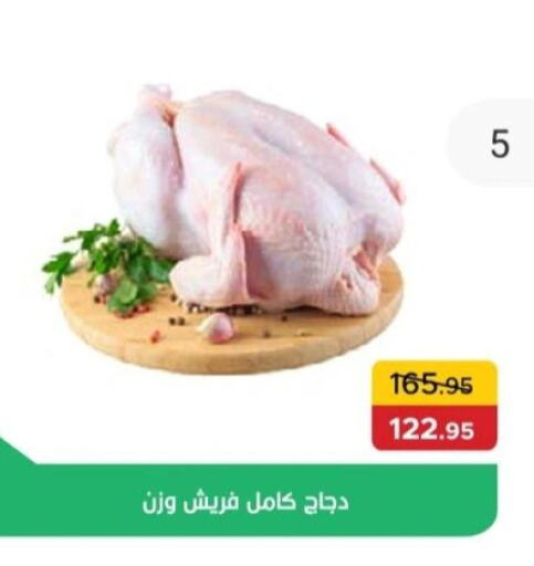 دجاج in بيك مارت, Egypt Offers - Egypt available at بيك مارت in Egypt - القاهرة