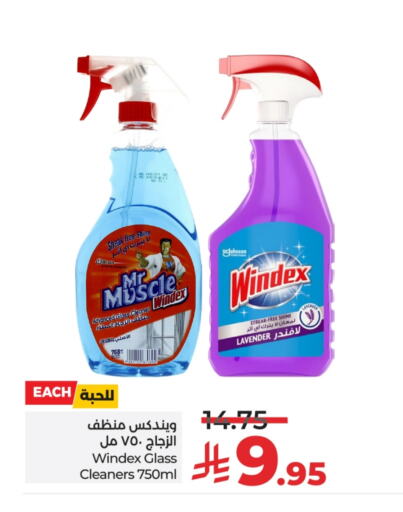 منظف الزجاج available at لولو هايبرماركت in مملكة العربية السعودية, السعودية, سعودية - عنيزة