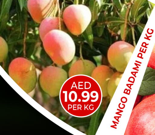 Mango Mango available at Daylife Hypermarket LLC in UAE - Dubai