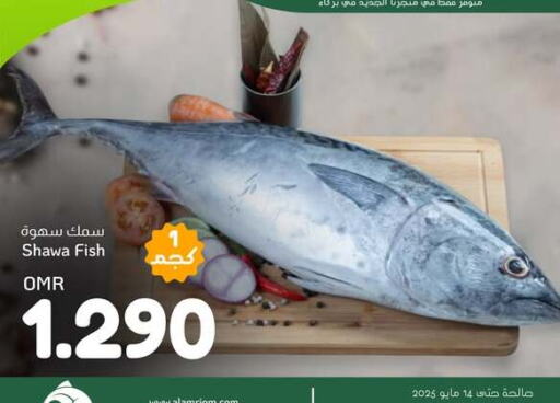 Fresh Fish in Al Amri Center, Oman Offers - Oman available at Al Amri Center in Oman - Muscat