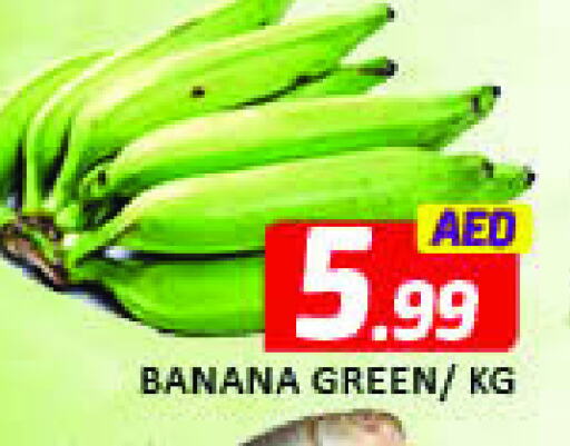 Fresh Vegetables in Mango Hypermarket LLC, UAE Offers - United Arab Emirates Banana Green available at Mango Hypermarket LLC in UAE - Dubai