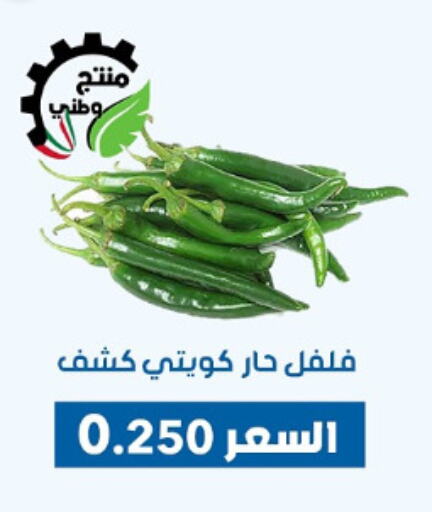 الخضروات الطازجة in جمعية ضاحية عبدالله السالم والمنصورية التعاونية, الكويت Offers - الكويت available at جمعية ضاحية عبدالله السالم والمنصورية التعاونية in الكويت - محافظة الأحمدي