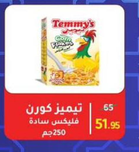 تيميز available at وكالة المنصورة - الدقهلية‎ in Egypt - القاهرة