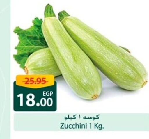 Zucchini available at Spinneys  in Egypt - Cairo