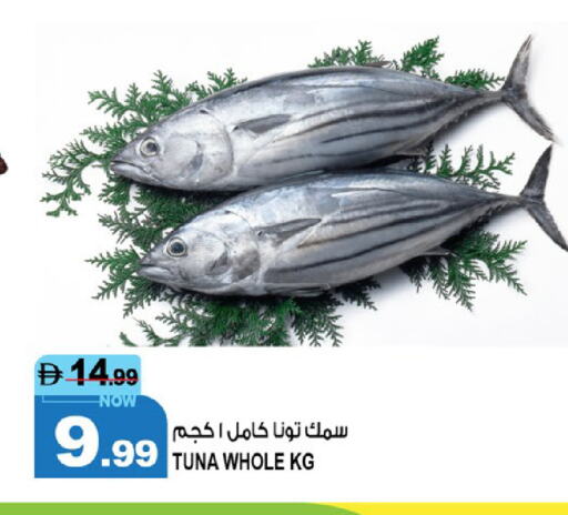 الأسماك الطازجة in هاشم هايبرماركت, UAE Offers - الإمارات العربية المتحدة تونة available at هاشم هايبرماركت in الإمارات العربية المتحدة , الامارات - الشارقة / عجمان