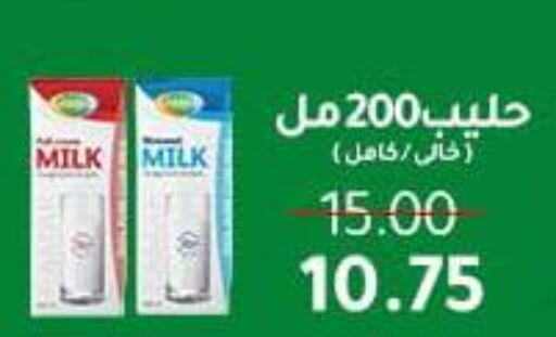 Milk & Laban in Wekalet Elmansoura - Dakahlia , Egypt Offers - Egypt available at Wekalet Elmansoura - Dakahlia in Egypt - Cairo