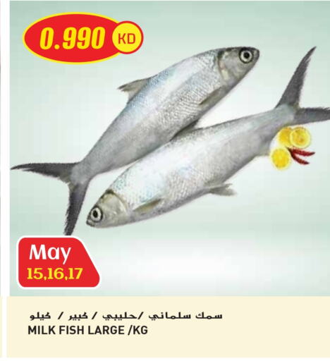 available at جراند هايبر in الكويت - محافظة الأحمدي