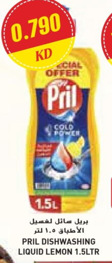 PRIL available at Grand Costo in Kuwait - Ahmadi Governorate