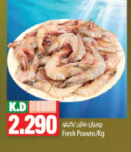 Fresh Fish in Mango Hypermarket , Kuwait Offers - Kuwait Mango available at Mango Hypermarket in Kuwait - Ahmadi Governorate