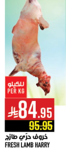 Meat - Fresh & Chilled in Abraj Hypermarket, Saudi Arabia Offers - Saudi Arabia Mutton / Lamb available at Abraj Hypermarket in KSA, Saudi Arabia, Saudi - Mecca