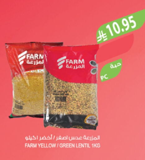 Pulses, Beans & Grains in Farm , Saudi Arabia Offers - Saudi Arabia available at Farm in KSA, Saudi Arabia, Saudi - Najran