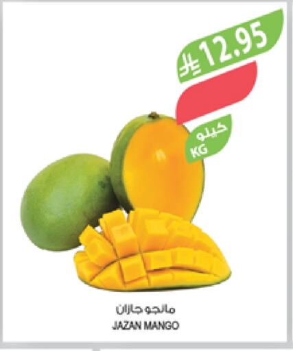 Fresh Fruits in Farm , Saudi Arabia Offers - Saudi Arabia Mangoes available at Farm in KSA, Saudi Arabia, Saudi - Najran
