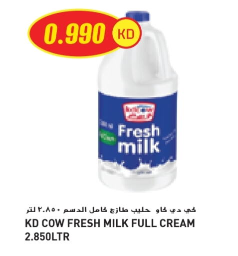 Milk & Laban in Grand Costo, Kuwait Offers - Kuwait KD COW Fresh Milk available at Grand Costo in Kuwait - Ahmadi Governorate