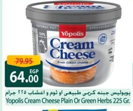 جبنة كريمية available at سبينس in Egypt - القاهرة