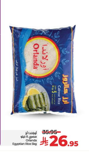 Orlanda Calrose Rice available at LULU Hypermarket in KSA, Saudi Arabia, Saudi - Al Khobar