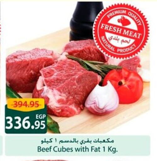 Meat - Fresh & Chilled in Spinneys , Egypt Offers - Egypt Beef available at Spinneys in Egypt - Cairo