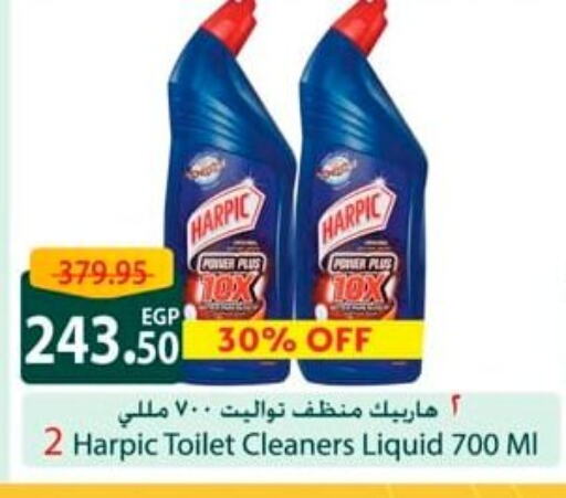 HARPIC Toilet / Drain Cleaner available at Spinneys  in Egypt - Cairo