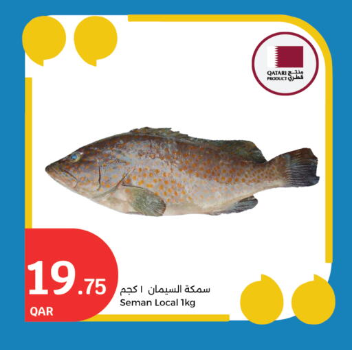 Fresh Fish in City Hypermarket, Qatar Offers - Qatar available at City Hypermarket in Qatar - Al Shamal