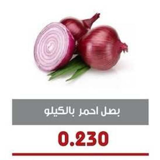 Onion available at Al- Surra Cooperative Society in Kuwait - Jahra Governorate