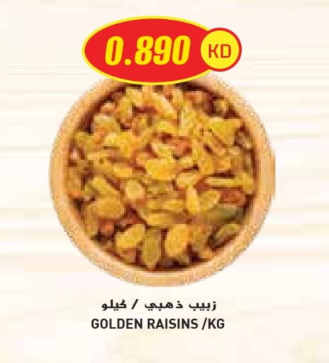 available at جراند كوستو in الكويت - محافظة الأحمدي
