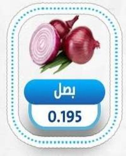 Onion available at Salmiya Co-op Society in Kuwait - Kuwait City