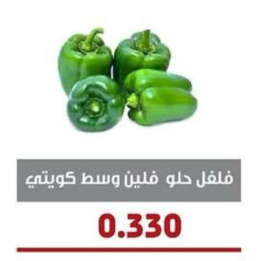 Chilli / Capsicum available at Al- Surra Cooperative Society in Kuwait - Jahra Governorate