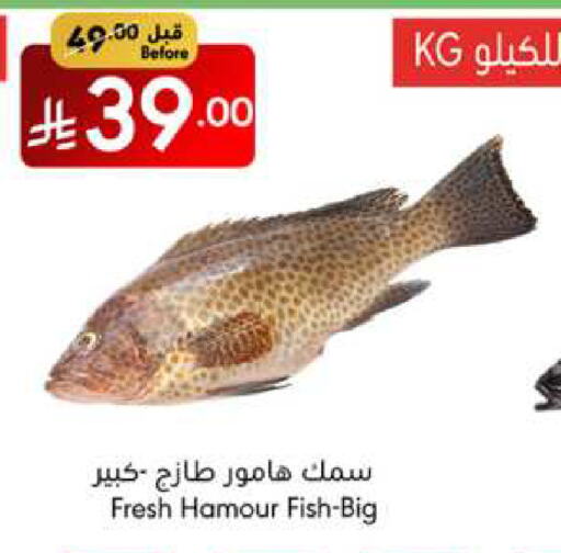 الأسماك الطازجة in مانويل ماركت, المملكة العربية السعودية Offers - المملكة العربية السعودية available at مانويل ماركت in مملكة العربية السعودية, السعودية, سعودية - جدة