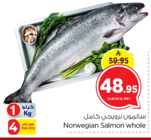 available at نستو in مملكة العربية السعودية, السعودية, سعودية - الرياض