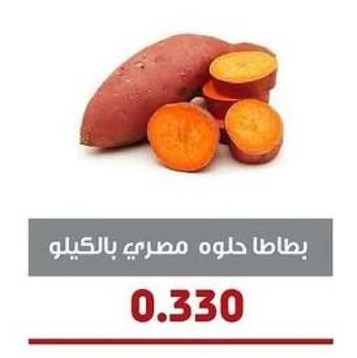 Sweet Potato available at Al- Surra Cooperative Society in Kuwait - Jahra Governorate