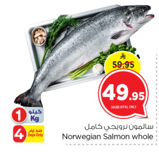 available at نستو in مملكة العربية السعودية, السعودية, سعودية - الرياض