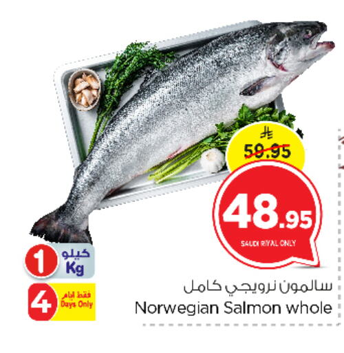available at نستو in مملكة العربية السعودية, السعودية, سعودية - الرياض