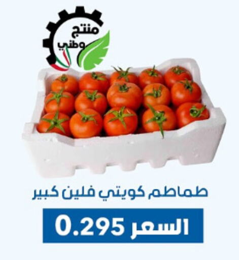 Fresh Vegetables in Dahiyat Abdullah Al Salem and Mansourieh Cooperative Society, Kuwait Offers - Kuwait Tomato available at Dahiyat Abdullah Al Salem and Mansourieh Cooperative Society in Kuwait - Jahra Governorate