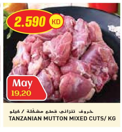 Meat - Fresh & Chilled in Grand Costo, Kuwait Offers - Kuwait Mutton / Lamb available at Grand Costo in Kuwait - Ahmadi Governorate