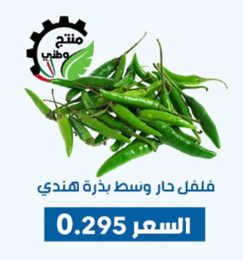 Fresh Vegetables in Dahiyat Abdullah Al Salem and Mansourieh Cooperative Society, Kuwait Offers - Kuwait Chilli / Capsicum available at Dahiyat Abdullah Al Salem and Mansourieh Cooperative Society in Kuwait - Jahra Governorate