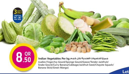كرنب from India available at سفاري هايبر ماركت in قطر - أم صلال