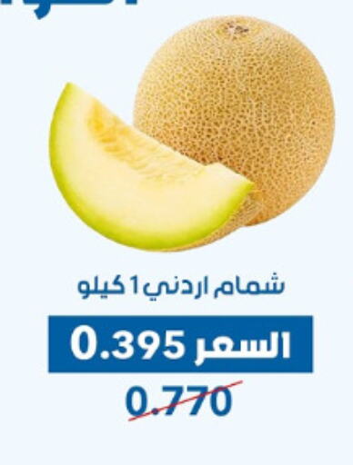 Fresh Fruits in Dahiyat Abdullah Al Salem and Mansourieh Cooperative Society, Kuwait Offers - Kuwait Sweet melon available at Dahiyat Abdullah Al Salem and Mansourieh Cooperative Society in Kuwait - Jahra Governorate