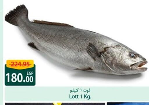 available at Spinneys  in Egypt - Cairo