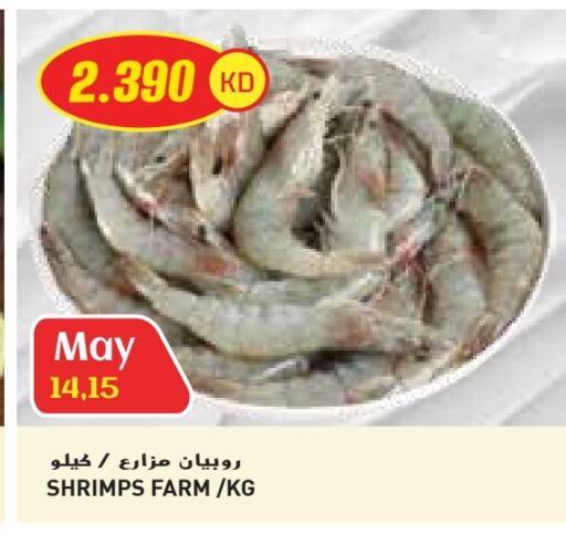 Fresh Fish in Grand Costo, Kuwait Offers - Kuwait available at Grand Costo in Kuwait - Ahmadi Governorate
