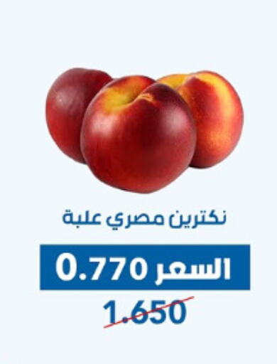 available at جمعية ضاحية عبدالله السالم والمنصورية التعاونية in الكويت - محافظة الأحمدي