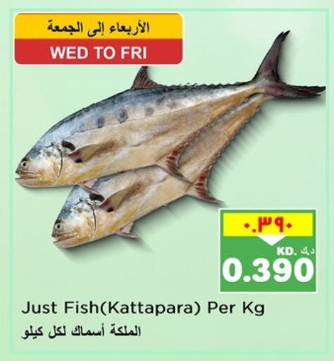 Fresh Fish in Nesto Hypermarkets, Kuwait Offers - Kuwait available at Nesto Hypermarkets in Kuwait - Ahmadi Governorate