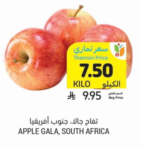 Apples from South Africa available at Tamimi Market in KSA, Saudi Arabia, Saudi - Al Khobar