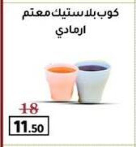 Disposables in Wekalet Elmansoura - Dakahlia , Egypt Offers - Egypt available at Wekalet Elmansoura - Dakahlia in Egypt - Cairo