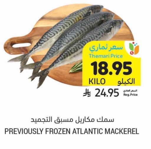 Fresh Fish in Tamimi Market, Saudi Arabia Offers - Saudi Arabia available at Tamimi Market in KSA, Saudi Arabia, Saudi - Tabuk